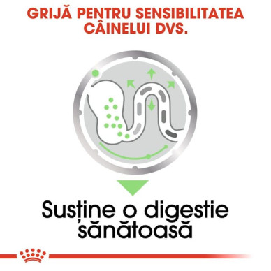 Royal Canin Digestive Care All Sizes – Hrană Umedă Pate pentru Câini, 85 g